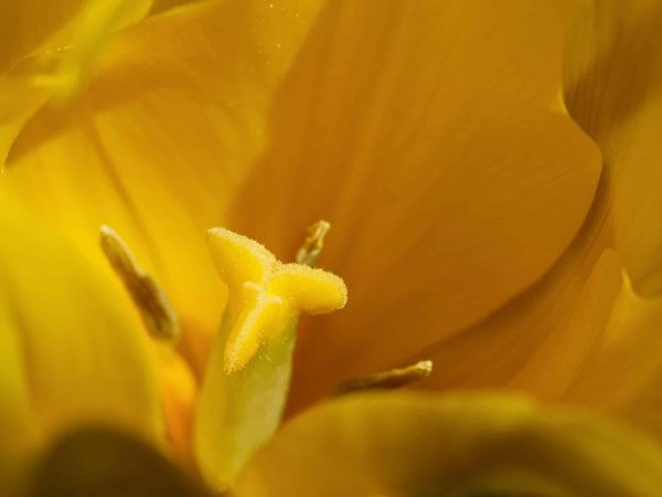 les meilleurs casques de réalité virtuelle pour une expérience immersive à 360 degrés